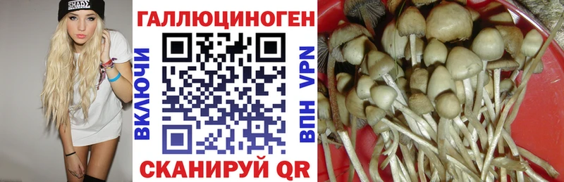 Галлюциногенные грибы мухоморы  Купить  Тутаев 